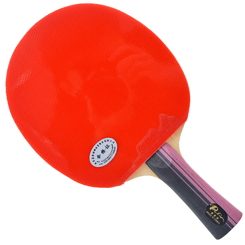 Оригинальная ракетка для насто – обзор и цена Table Tennis History