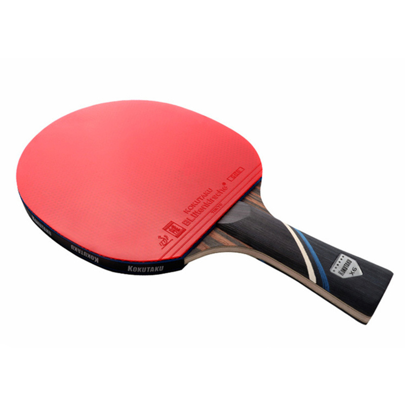 Профессиональная ракетка для п – обзор и цена Table Tennis History